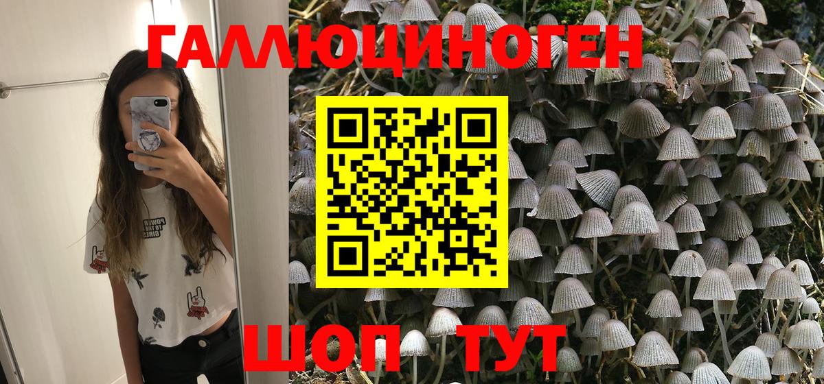 Псилоцибиновые грибы MAGIC MUSHROOMS Видное