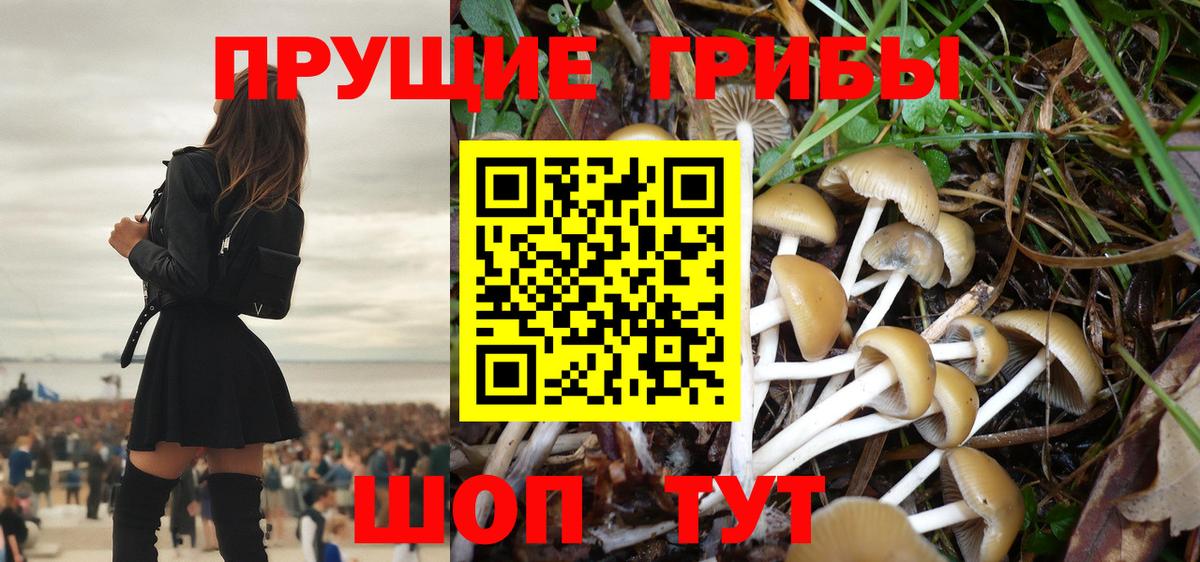 Псилоцибиновые грибы ЛСД  Вход с VPN  Видное 